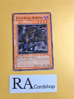 Pitch-Black Warwolf Common 1st Edition RDS-EN026  Rise of Destiny RDS Yu-Gi-Oh