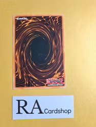 Pitch-Black Warwolf Common 1st Edition RDS-EN026  Rise of Destiny RDS Yu-Gi-Oh