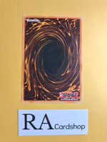 Ambulanceroid Common 1st Edition POTD-EN009 Power of the Duelist POTD Yu-Gi-Oh