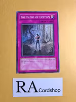 The Paths of Destiny Common 1st Edition POTD-EN052 Power of the Duelist POTD Yu-Gi-Oh
