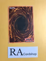 The Paths of Destiny Common 1st Edition POTD-EN052 Power of the Duelist POTD Yu-Gi-Oh