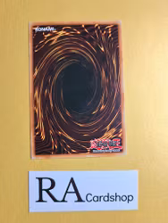 The Paths of Destiny Common 1st Edition POTD-EN052 Power of the Duelist POTD Yu-Gi-Oh