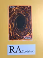 Synthetic Seraphim Common 1st Edition POTD-EN059 Power of the Duelist POTD Yu-Gi-Oh