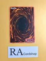 Ritual Weapon Common 1st Edition SOD-EN048 Soul of the Duelist SOD Yu-Gi-Oh