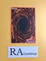 Wicked-Breaking Flamberge - Baou Common 1st Edition SBLS-EN041 Speed Duel: Arena of Lost Souls SBLS Yu-Gi-Oh