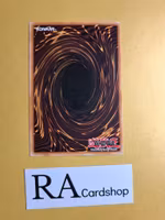 Infernal Incinerator Common 1st Edition EEN-EN012 Elemental Energy EEN Yu-Gi-Oh