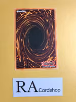 Destruction of Destiny Common 1st Edition DP05-EN023 Duelist Pack 5: Aster Phoenix DP05 Yu-Go-Oh