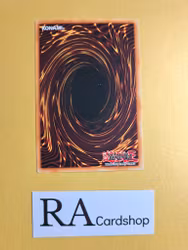 Destruction of Destiny Common 1st Edition DP05-EN023 Duelist Pack 5: Aster Phoenix DP05 Yu-Go-Oh