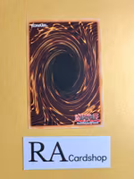 Destiny Mirage Common 1st Edition DP05-EN027 Duelist Pack 5: Aster Phoenix DP05 Yu-Go-Oh