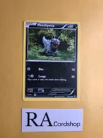 Poochyena Common 53/119 Phantom Forces Pokemon