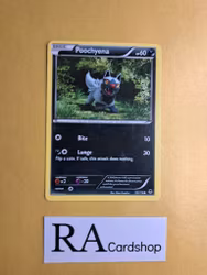 Poochyena Common 53/119 Phantom Forces Pokemon
