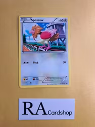 Spearow Common 65/108 Roaring Skies Pokemon