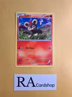 Litleo Common 19/106 XY Flashfire Pokemon