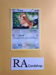 Pidgey Common 75/106 XY Flashfire Pokemon
