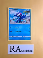 Popplio Common 39/149 Sun & Moon Pokemon