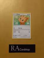 Lillipup Common 103/149 Sun & Moon Pokemon
