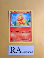 Torchic Common 25/160 XY Primal Clash Pokemon