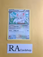 Cinccino Uncommon 85/98 Emerging Powers Pokemon