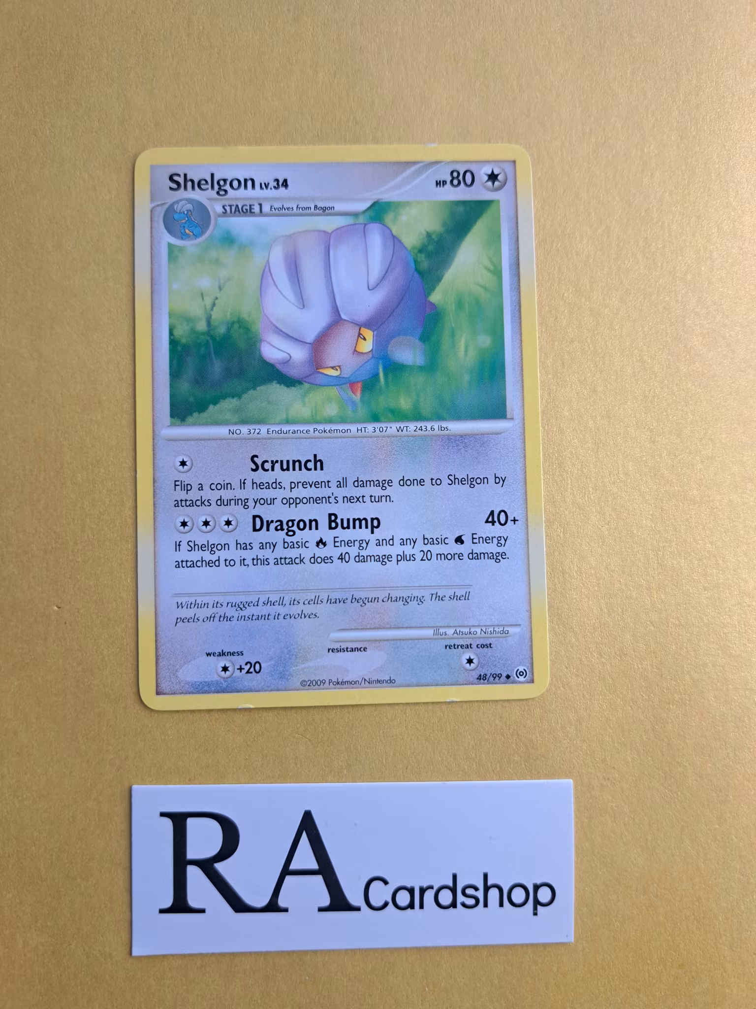 Shelgon Uncommon 48/99 Arceus Pokemon