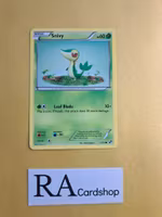 Snivy Common 2/114 Black & White Pokemon