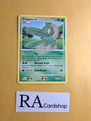 Tropius Uncommon 52/111 Rising Rivals Pokemon