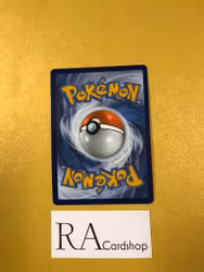 Rapidash Holo Rare 022/195 Silver Tempest Pokemon