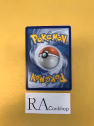 Krokorok Reverse Holo Uncommon 112/195 Silver Tempest Pokemon