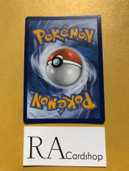 Pyroar Holo Rare 029/196 Lost Origin Pokémon