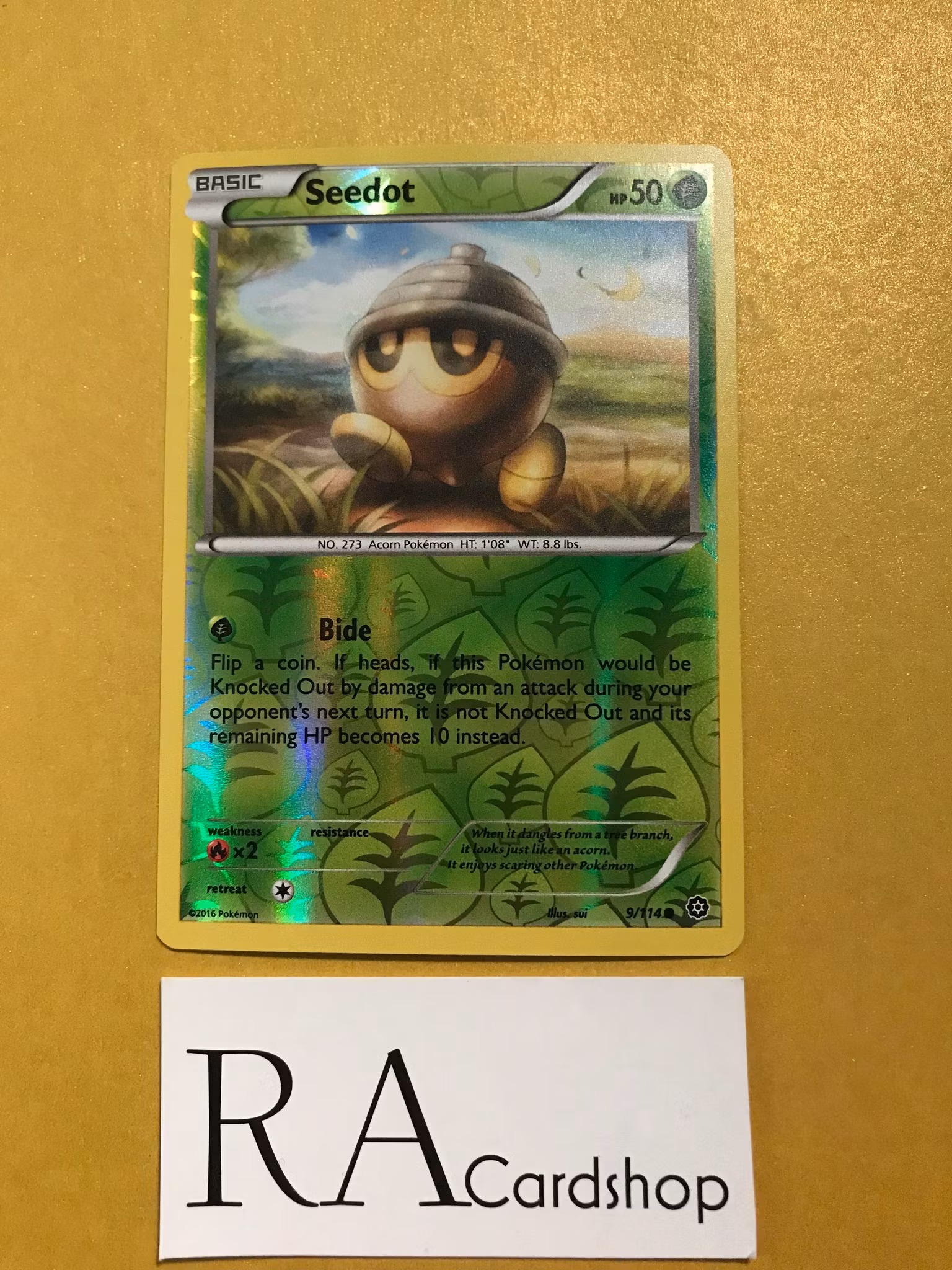 Seedot Reverse Holo Common 9/114 Steam Siege Pokemon