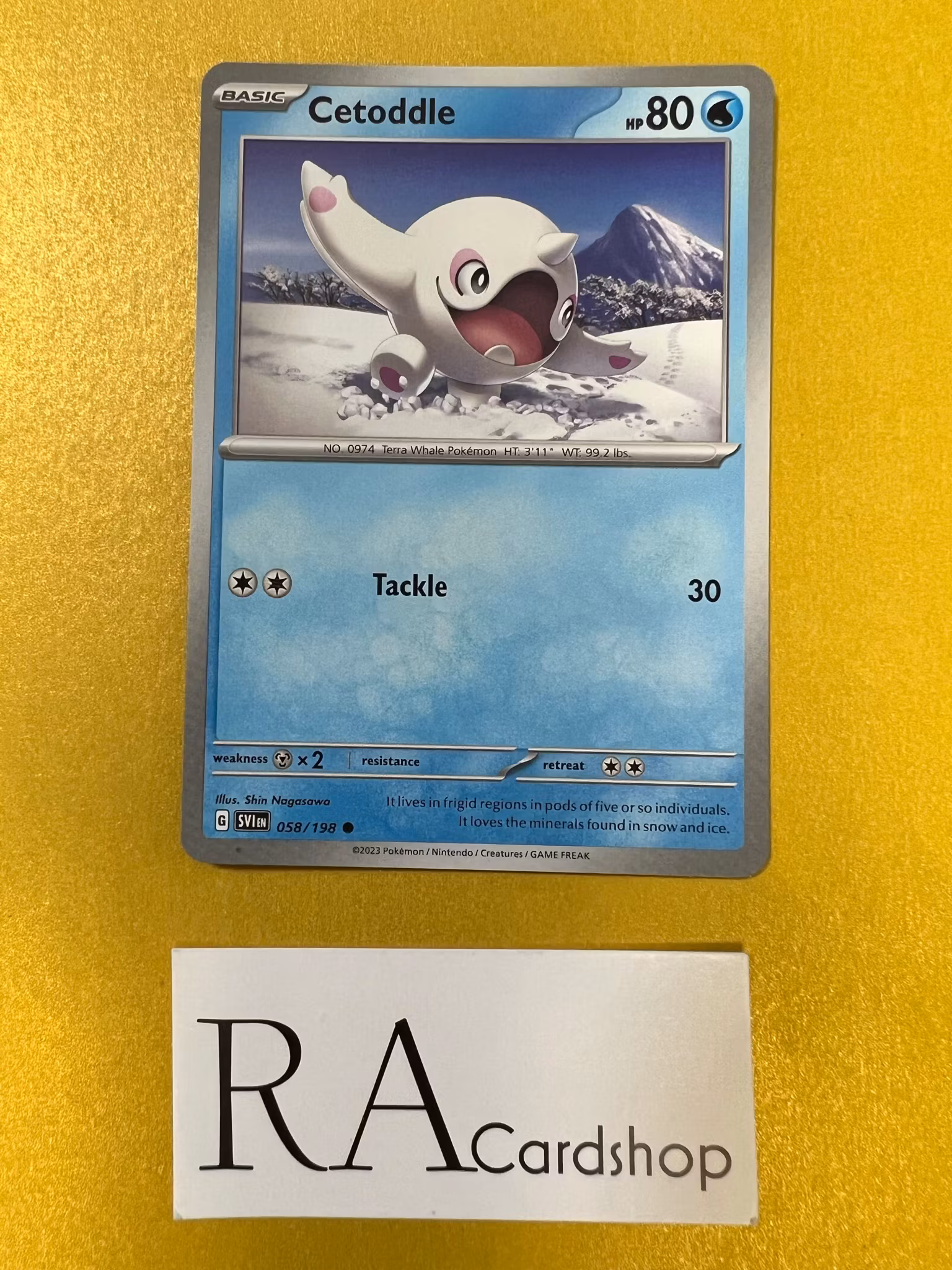 Cetoddle Common 058/198 Scarlet & Violet Pokemon