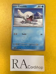 Cetoddle Common 058/198 Scarlet & Violet Pokemon