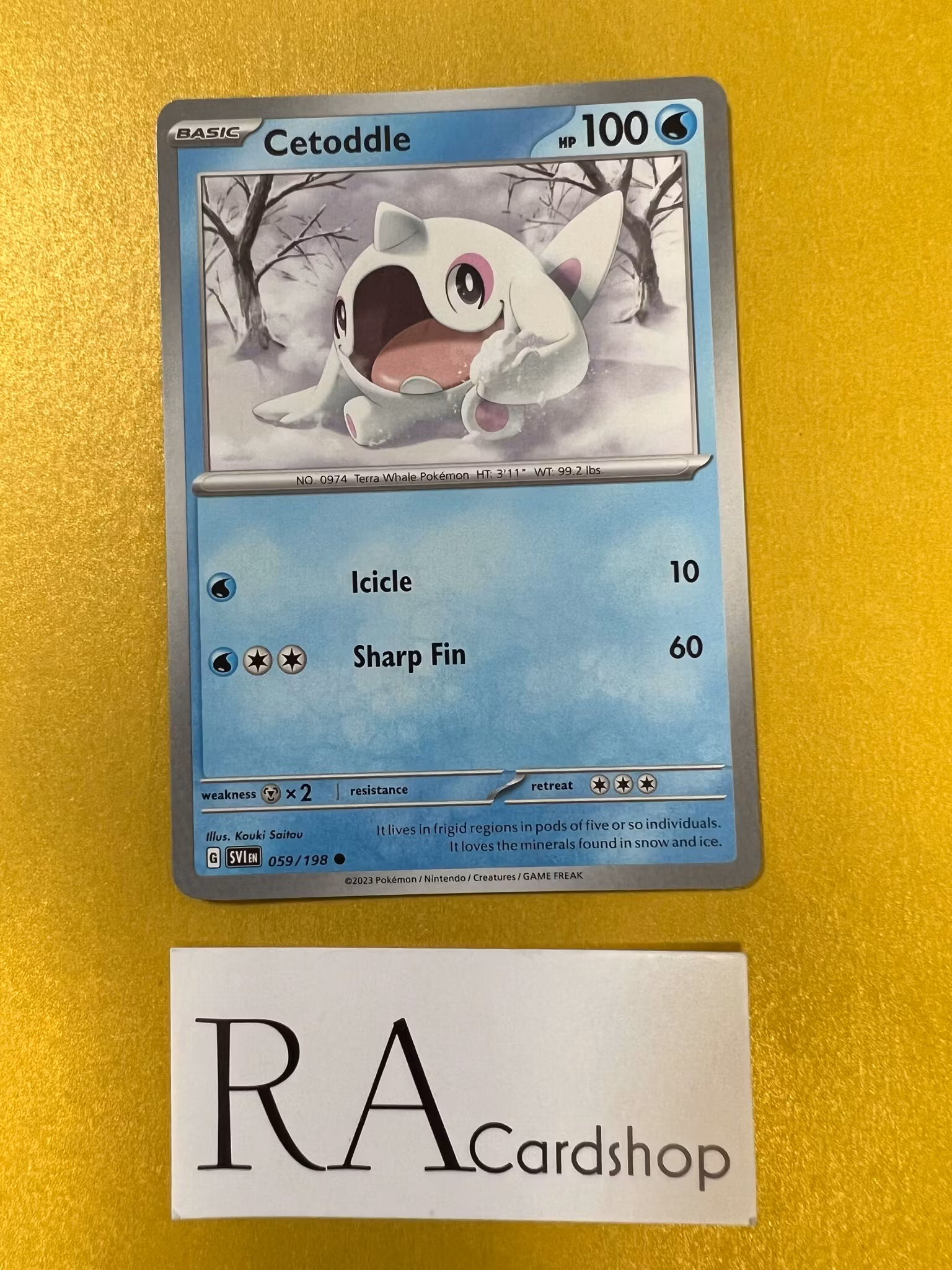 Cetoddle Common 059/198 Scarlet & Violet Pokemon