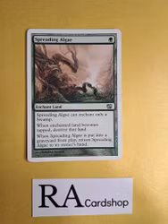 Spreading Algae Uncommon 281/305 Eight Edition Magic the Gathering