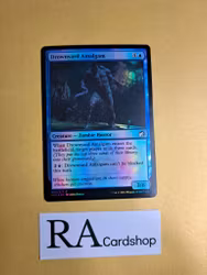 Drownyard Amalgam Foil Common 050/277 Innistrad Midnight Hunt (MID) Magic the Gathering