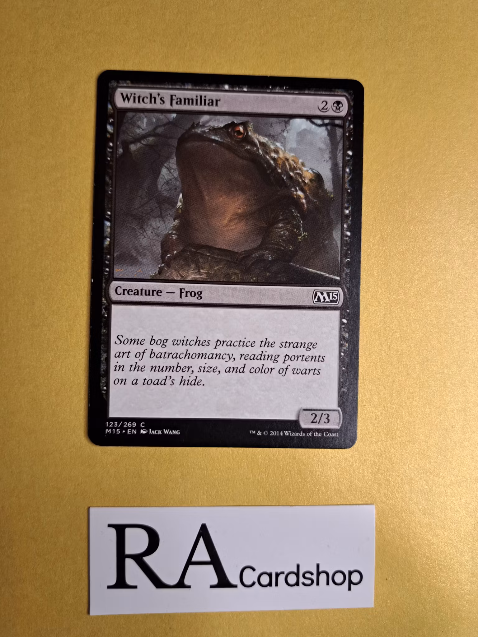 Witchs Familiar Common 123/269 Magic 2015 (M15) Magic the Gathering