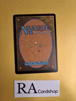 Triton Shorethief Common 70/249 Theros (THS) Magic the Gathering