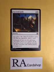Survival Cache Common 034/249 Iconic Masters (IMA) Magic the Gathering