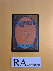 Tel-Jilad Outrider Common 87/165 Darksteel Magic the Gathering