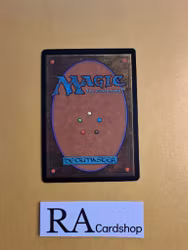 Divination Common 52/249 Magic 2014 (M14) Magic the Gathering