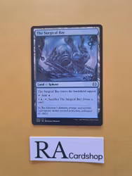 The Surgical Bay Common 260/271 Phyrexia All Will Be One Magic the Gathering