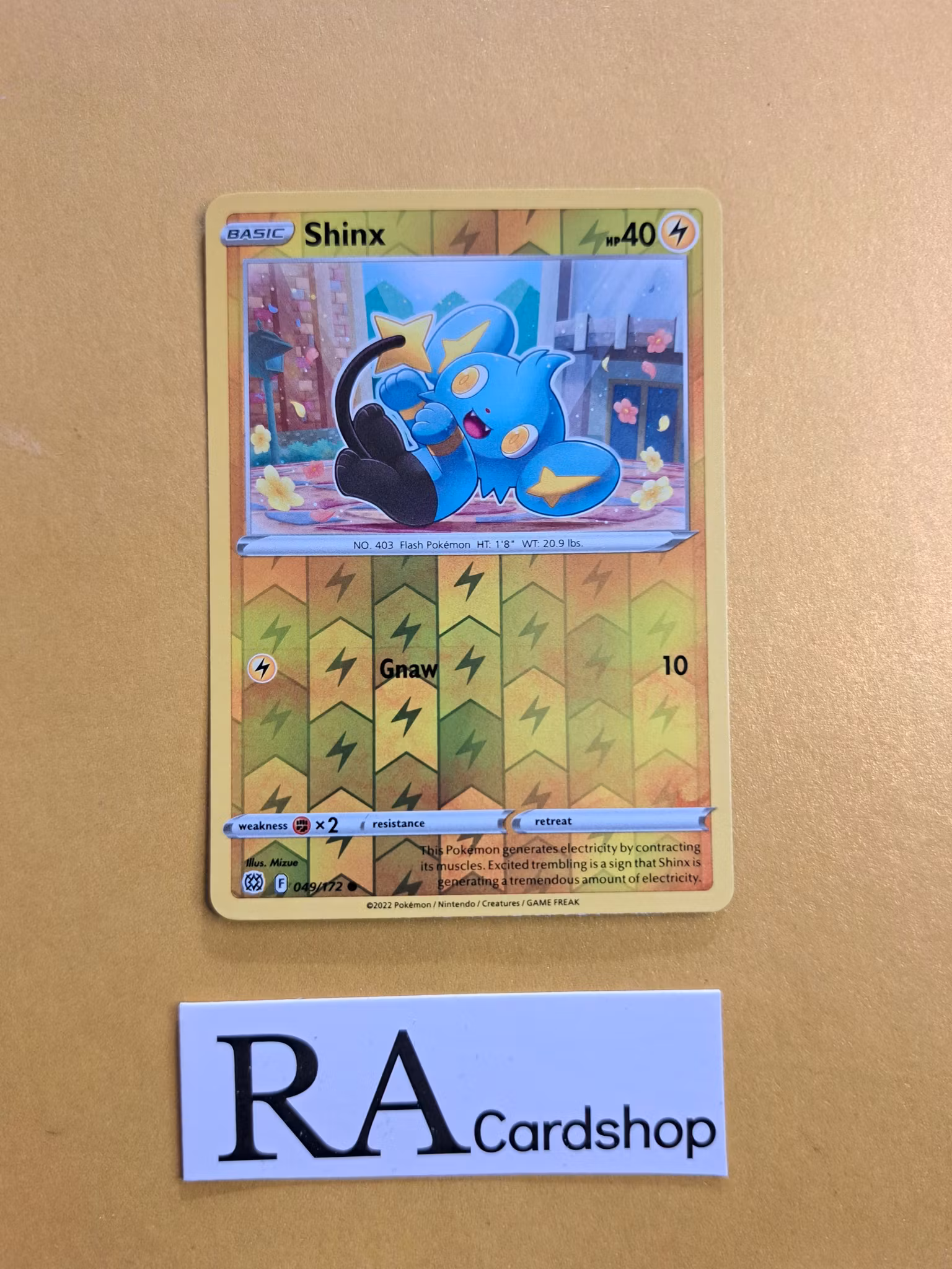 Shinx Reverse Holo Common 049/172 Brilliant Stars Pokemon