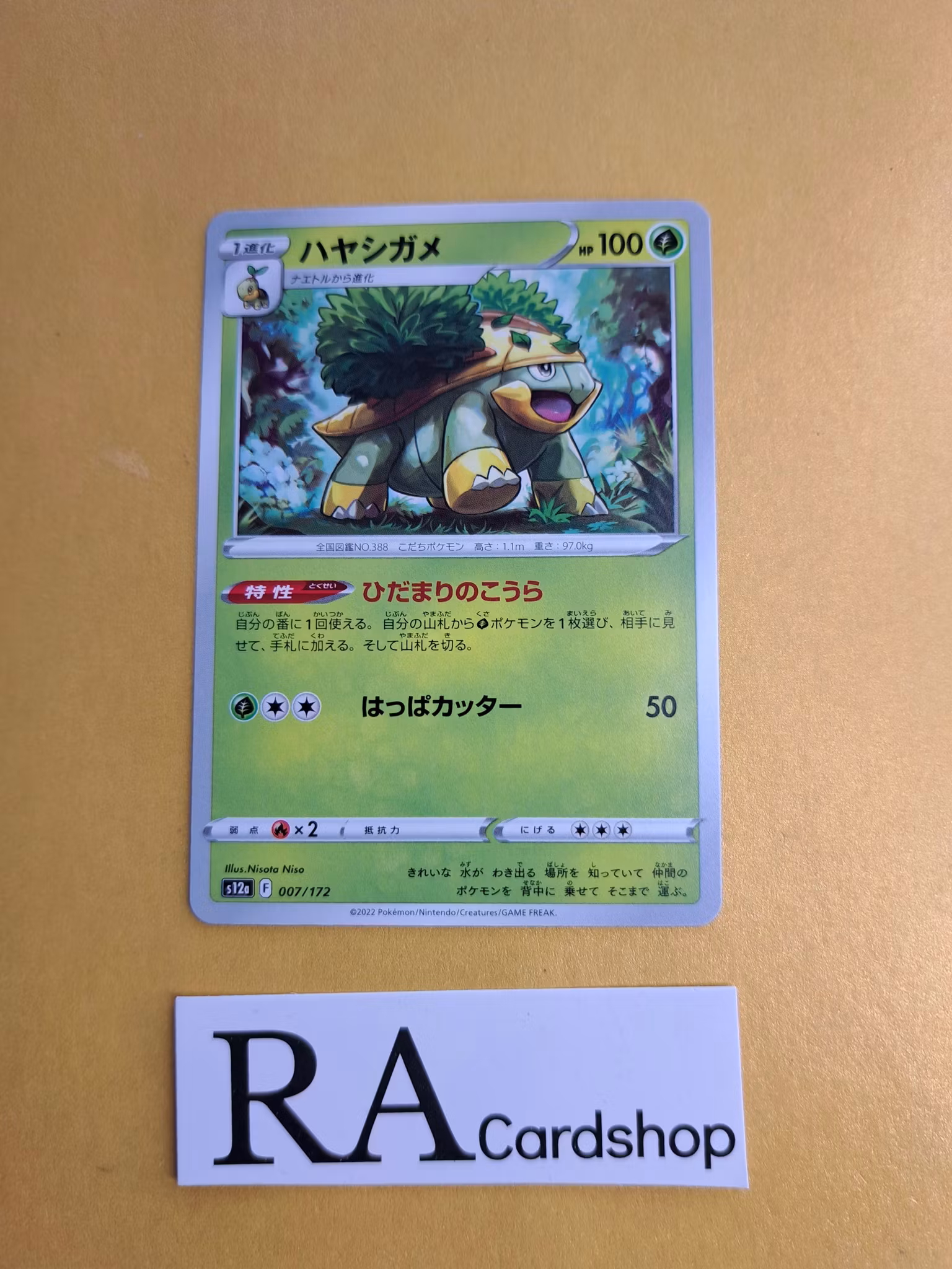 Grotle 007/172 VSTAR Universe s12a Pokemon