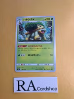 Grotle 007/172 VSTAR Universe s12a Pokemon