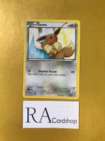 Eevee 24/30 XY Trainer Kit Pokemon