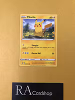 Pikachu Common 049/203 Evolving Skies Pokemon
