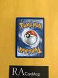 Pyroar Uncommon 023/203 Evolving Skies Pokemon