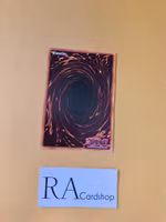 Summoned Skull Holo RP01-EN024 Yu-Gi-Oh