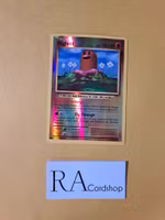 Diglett Reverse Holo Common 55/108 Evolutions Pokemon
