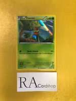 Treecko Holo XY36 Black Star Promo Pokemon