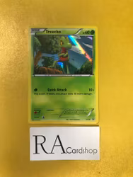 Treecko Holo XY36 Black Star Promo Pokemon